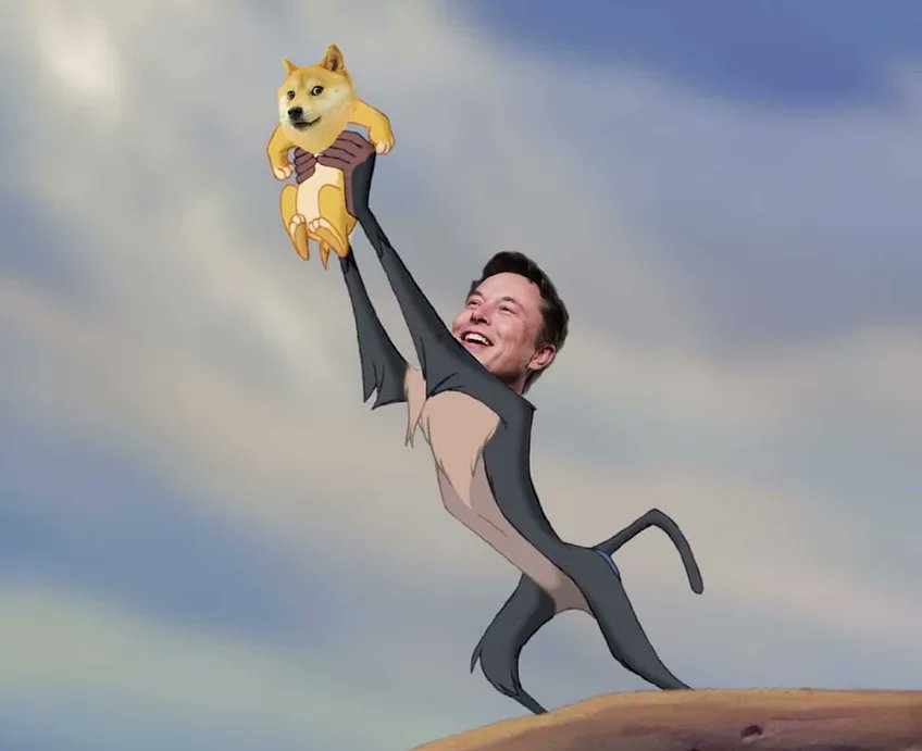 Musk with Doge