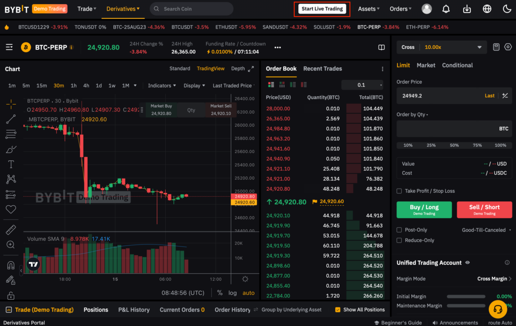 Bybit Platform